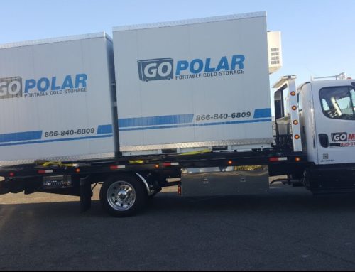 Seasonal Storage Solutions: Z-Box and Polar Bear Box
